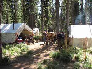 Silver Spur Outfitters - 1:1 Fully Guided Camp Elk/Deer Rifle Hunt - ABO Outfitters