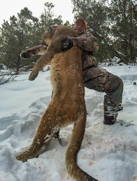 Capitol Peak Outfitters - Guided Mountain Lion Hunt - ABO Outfitters