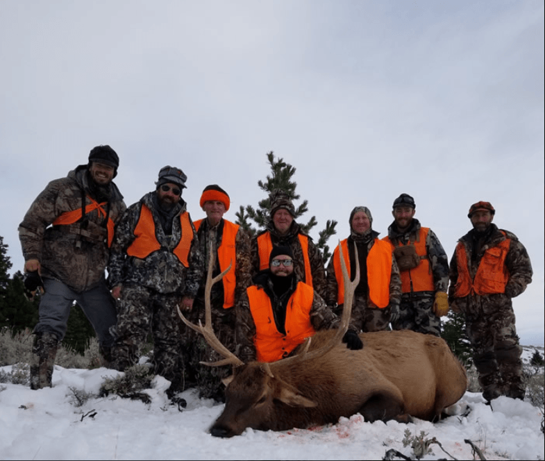 Lone Wolf Guide Services - Guided Elk Hunt (5day) - ABO Outfitters