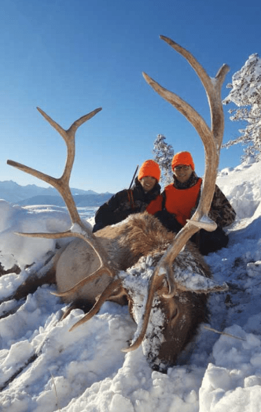 Lone Wolf Guide Services - Guided Elk Hunt (3.5day) - ABO Outfitters