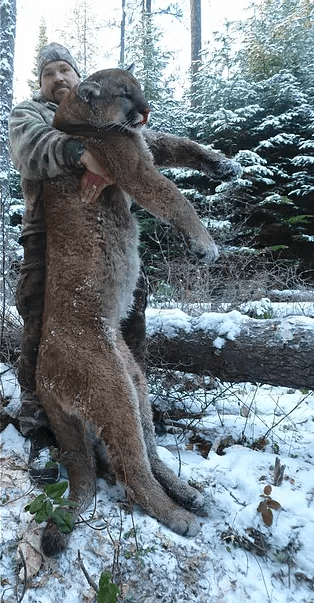Waypoint Outfitters - Guided Mountain Lion Hunt - ABO Outfitters
