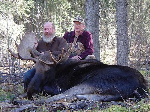 South Peace Outfitters - Guided Rut Moose Hunt - ABO Outfitters